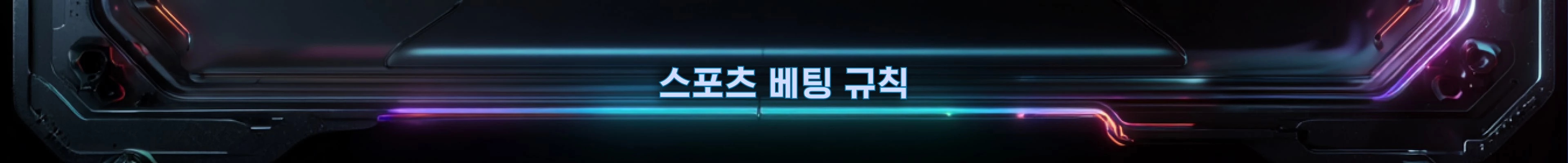 스포츠 배팅규정